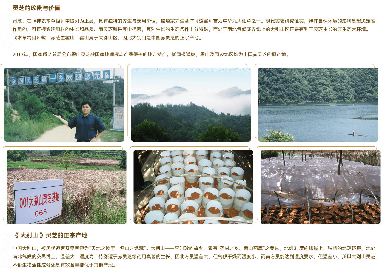 大別山風(fēng)光