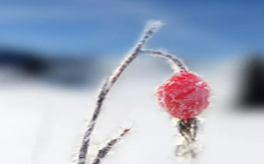 立冬降至如何驅寒？